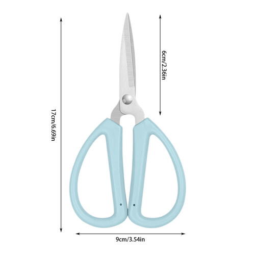 Stainless Steel Scissors Pointed Small 1 Pair 1