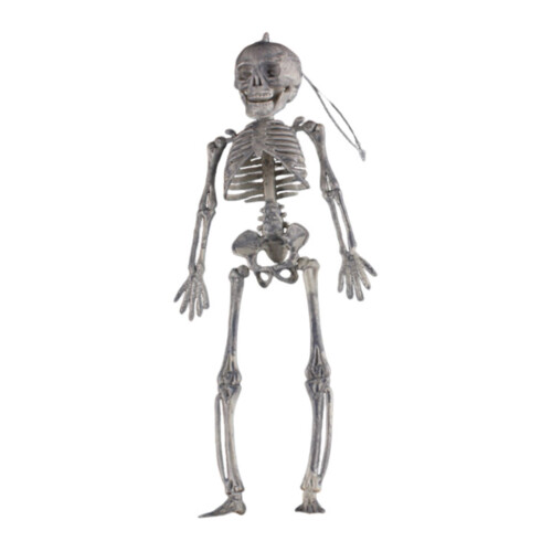 Διακόσμηση Σκελετών για το HalloweenΜίνι Σκελετός 11,4 ιντσών με δυνατότητα