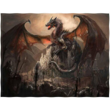 Fleece plaid met drakenkasteelmotief, 60x80 inch