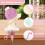 Plastic Manual Yarn Ball Winder Adjustable Umbrella Swift 5