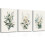 Ensemble de tableaux muraux aquarelle Fleurs – Toile florale botanique 1