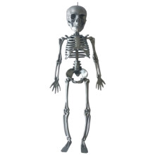 Decoração de Halloween: Esqueleto em Miniatura Articulado de 29 cm (11,4 polegadas)
