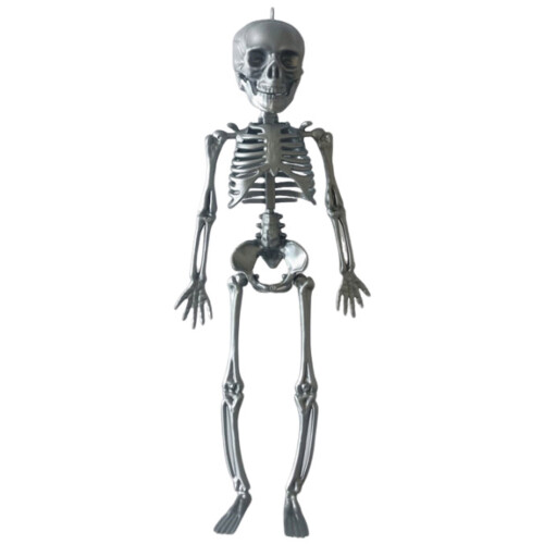 Decoração de Halloween: Esqueleto em Miniatura Articulado de 29 cm (11,4 polegadas)