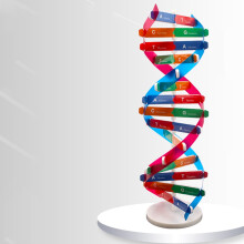 DNA-modelbouwset voor educatieve doeleinden (zelfmontage) 33 x 4,6 inch