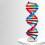 DNA-modellsett for pedagogisk selvmontering, 86 x 11,6 cm 1