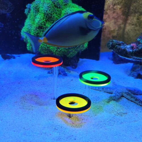Koral Frag Rack Sandholder til Marine Reef Akvarium (3) 1