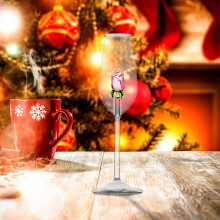 Coffret cadeau vintage de verres à vin rosé de Noël
