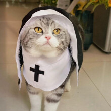 Lekki kostium zakonnicy na Halloween dla psów i kotów