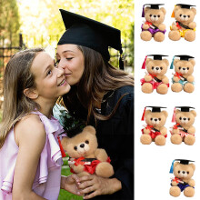 Păpușă de pluș Doctoral Bear pentru băieți de 10 ani