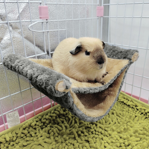 Double Layer Small Pet Cage for Guinea Pigs Ferrets