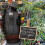WHAMVOX Chalkboard Message Board Black 30x20cm 5