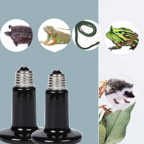 Reptile Heating Lamp Infrared Ceramic 1 Pack 2