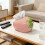 Porte-mouchoirs fraise rose style ferme 4