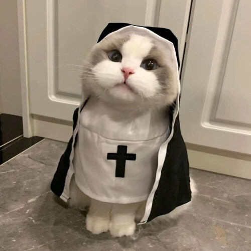 Halloween nonnekostume til hunde og katte i letvægtskvalitet