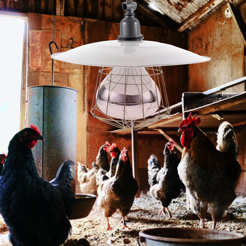 Lampada riscaldante TINKSKY per pollame e piccoli animali, 2