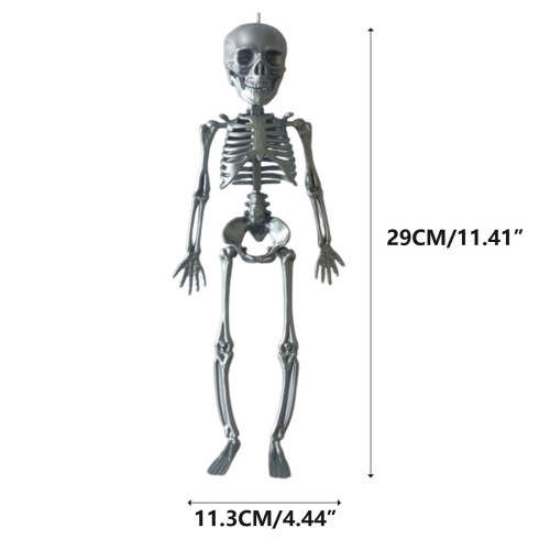 Decoração de Halloween: Esqueleto em Miniatura Articulado de 29 cm (11,4 polegadas) 1