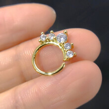 Titanium neusring met micro-zirkonia steentjes
