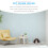 Hundebett im Hai-Stil (1 Set) 2