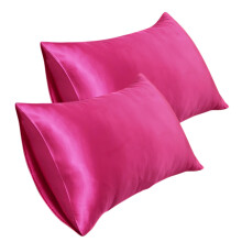 Satin Pillow Cases 20x30 Inch Soft Imitation Silk Set of 2