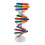DNA-modellsett for pedagogisk selvmontering, 86 x 11,6 cm 4