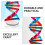 DNA-modellsett for pedagogisk selvmontering, 86 x 11,6 cm 5