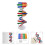 DNA-modellsett for pedagogisk selvmontering, 86 x 11,6 cm 6