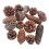 MUSEYA Christmas Pine Cone Decor Set with DIY Dry Lotus 4