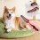 Flea Comb for Pets with Long Handle 1 Piece 2