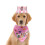 Ensemble bandana rose ajustable pour anniversaire de chien 4