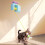 Interactive Cat Toy Electric Hanging Door Toy 1 Pack 3
