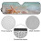 Foldable Starfish Shell Sun Shade for Jeep Wrangler and 6