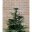 Black Triple Tree Topper Candelabra 3-Pack 3