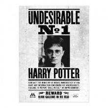 (50cm x 40mm, Black/White) Harry Potter Undesirable No. 1 Framed Canvas Print