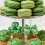 St. Patrick's Day Gift Tags Shamrock Theme 18 Pcs 7