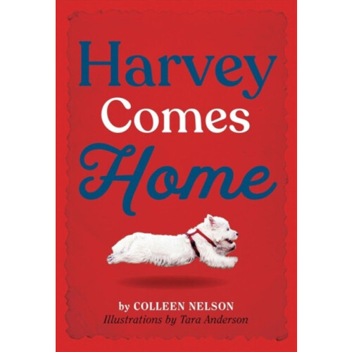 Harvey Comes Home by Colleen Nelson Hardcover Book