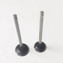 12Pcs Inlet Exhaust Valve for C3 C4 208 3008 308 HNX HNY 9801960980 539042 R6936 9807645980 9675073180
