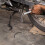 Motorcycle Hydraulic Brake Line Hose Nylon 10ft 3