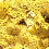 Confetti Party Decorations for Adults 600 Pieces 3