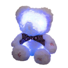 Luminous Bear Toy Adorable Sound-Recording Light-Up Doll