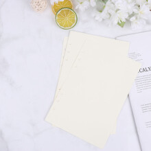 Loose-Leaf Filler Paper for Binder 320 Sheets