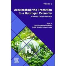 Accelerating the Transition to a Hydrogen Economy by Tonni Agustion Ku