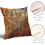 Rust Metal Pillow Covers 18x18 Brown Gold Rusty Copper 3