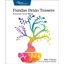 Pandas Brain Teasers Exercise Your Mind by Miki Tebeka Paperback Book