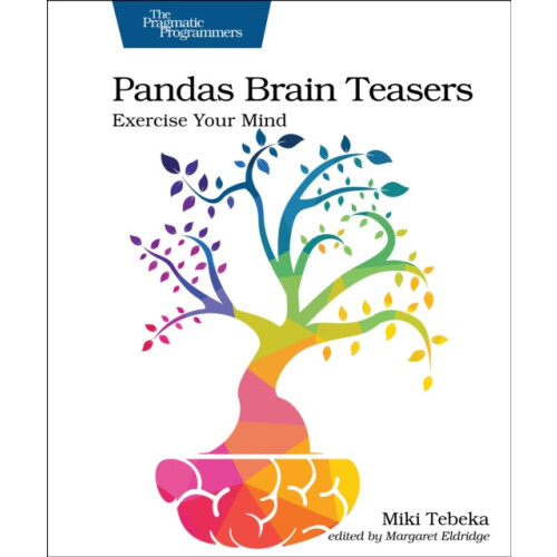 Pandas Brain Teasers Exercise Your Mind by Miki Tebeka Paperback Book
