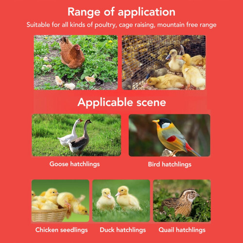 Chick Feeder and Waterer Kit Sleeve Design 3.6x4.0 in 2