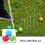Bocce Set Schima Wood 6 Pieces Assorted Colors 2