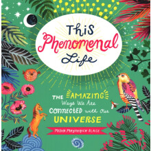 This Phenomenal Life The Amazing Ways We Are Connected with Our Univer
