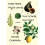 These Trees Those Leaves This Flower That Fruit Poems by Charara Hayan 1