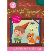Reading Champion Magic Faraway Tree A Surprise for Angry Pixie by Jack
