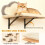 Arbre à chat mural avec surface à griffer en sisal, ensemble de 4 pièces, beige 6